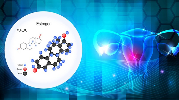 estrogen-la-gi