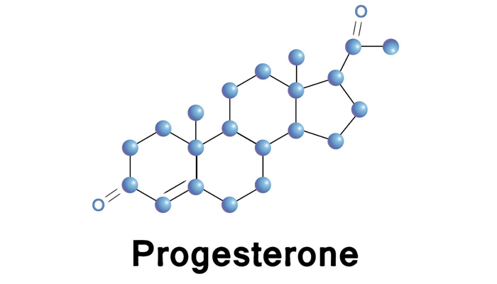 noi-tiet-to-nu-progesterone